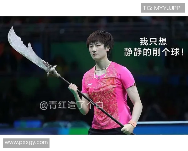 黄娜独家揭秘乒乓球技巧与心得分享助你提升球技的秘密宝典